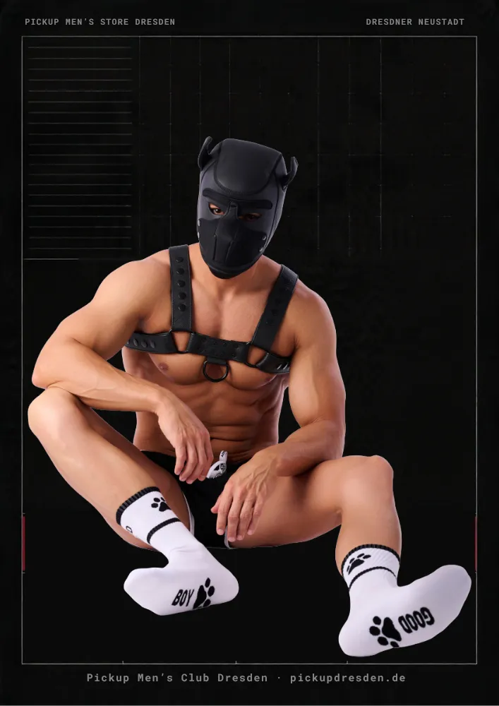 Puppy