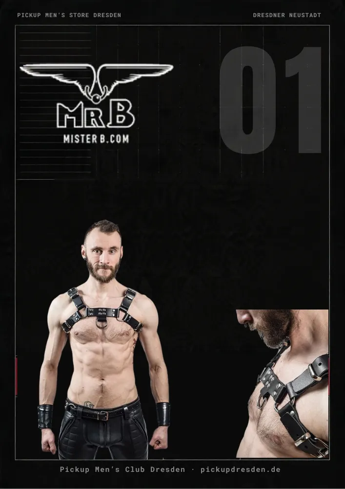 Bulldog Harness
